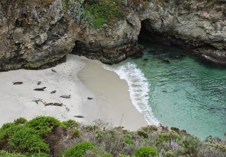 Big Sur ou la côte Pacifique majestueuse