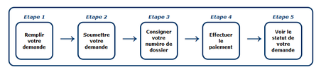 Les différentes étapes pour remplir la demande ESTA sur le site officiel