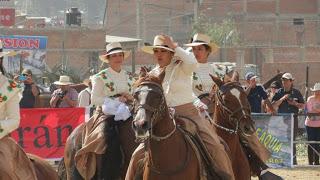 Caballo de paso peruano