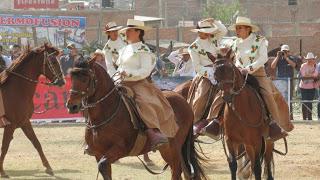 Caballo de paso peruano