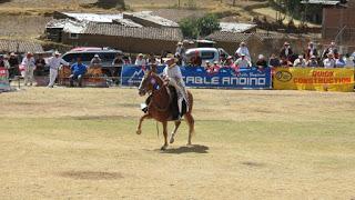 Caballo de paso peruano