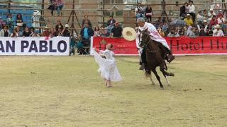 Caballo de paso peruano