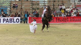 Caballo de paso peruano