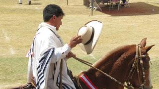 Caballo de paso peruano