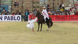 Caballo de paso peruano