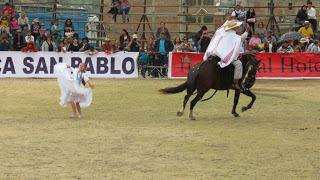 Caballo de paso peruano