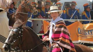 Caballo de paso peruano