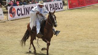 Caballo de paso peruano