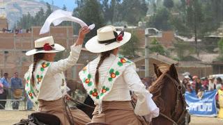 Caballo de paso peruano