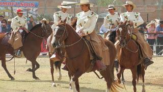 Caballo de paso peruano