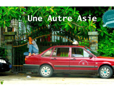 J’ai reçu un Liebster Award !