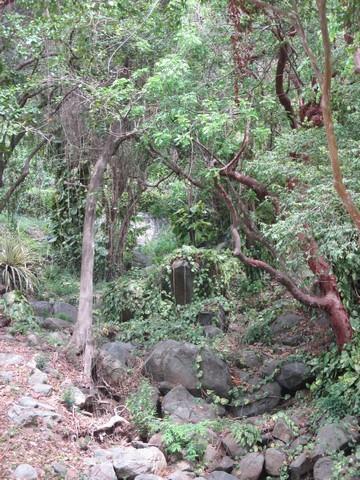 Les îles vierges britanniques ( Partie 2) : Virgin Gorda