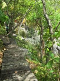 Chemin du bord de mer nail Bay