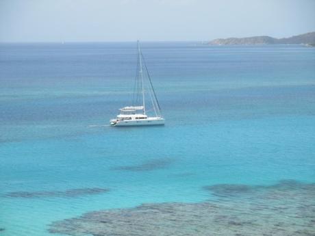 catamaran à Savannah Bay