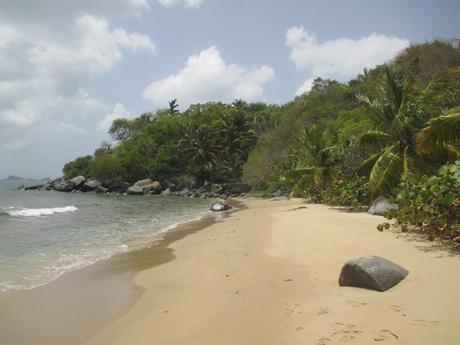 Plage de Mountain Trunk,Virgin Gorda