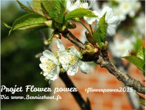 Flower power 2015 #1