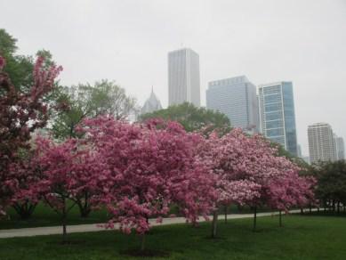 Millenium Park