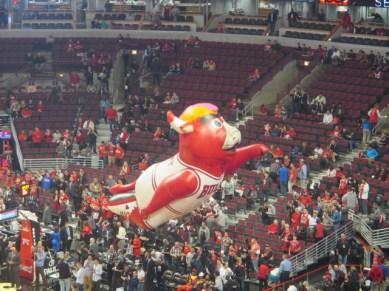 Mascotte des Bulls