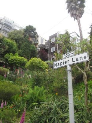 Napier Lane