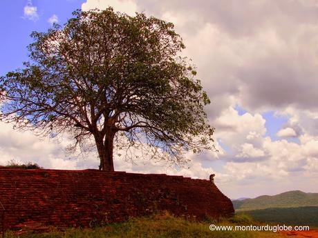 Sigiriya l'incontournable