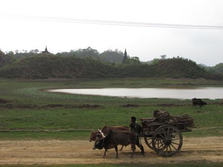 Mrauk U : à la découverte de l’ancienne cité d’or!