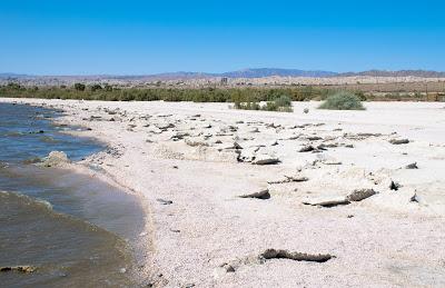 Salton Sea, quand le monde marche sur la tête