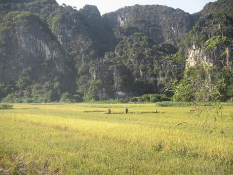 Tam Coc