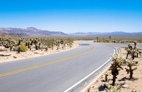 Joshua Tree National Park