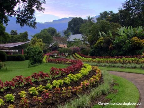 Longue marche aux temples des environs de Kandy