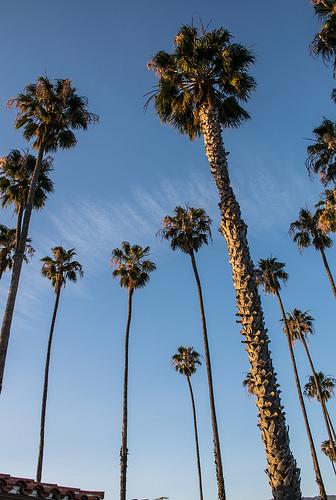 Road-trip #3 : De Big Sur à Joshua Tree via Hollywood