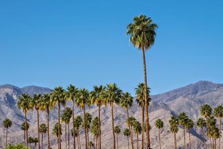 Road-trip #3 : De Big Sur à Joshua Tree via Hollywood