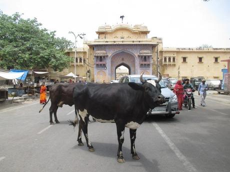 rues Jaïpur