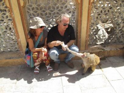 singes Temples des singes