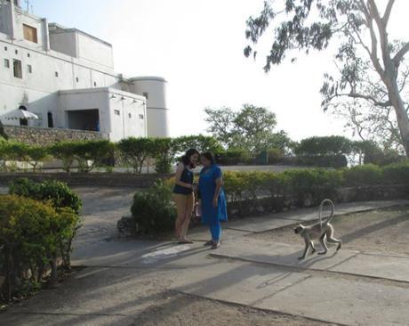 singes Monsoon Palace