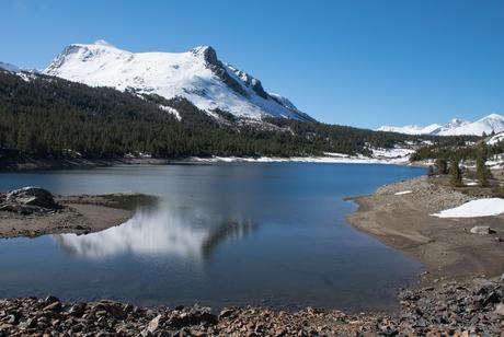 Yosemite, le long de Tioga Road