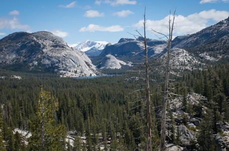 Yosemite, le long de Tioga Road