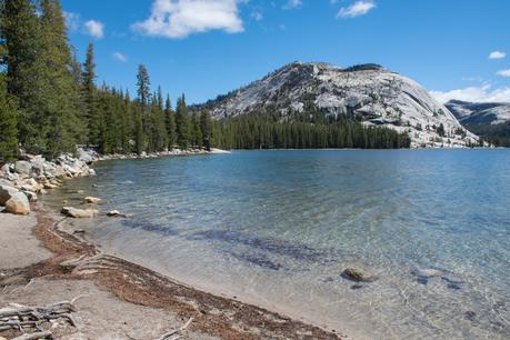 Yosemite, le long de Tioga Road