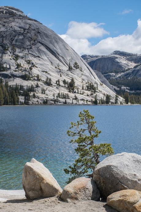 Yosemite, le long de Tioga Road