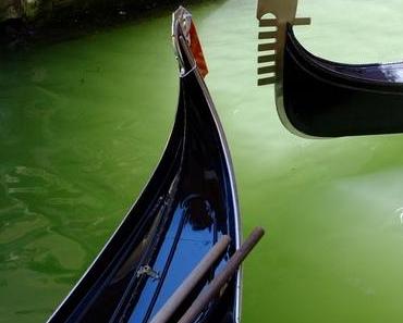 Venise aux couleurs de l'été