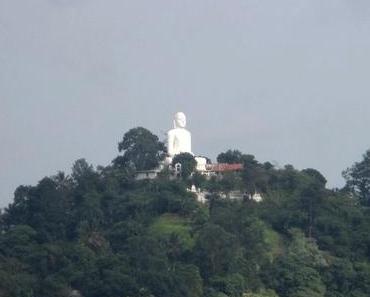 Sri Lanka, Kandy : thé ou café?