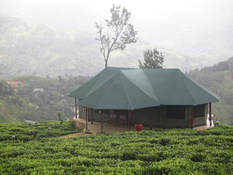 hôtel Madulkelle Tea et Eco Lodge