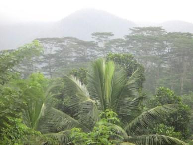 nature autour de Kandy