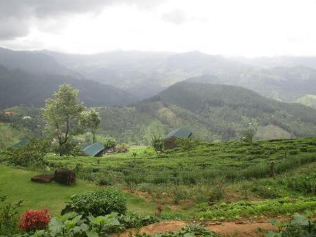 hôtel Madulkelle Tea et Eco Lodge