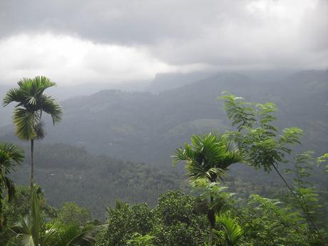 nature autour de Kandy