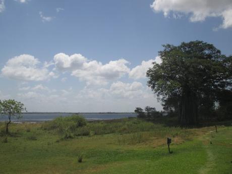 lac polonnaruwa