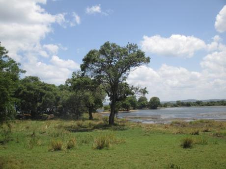 lac polonnaruwa