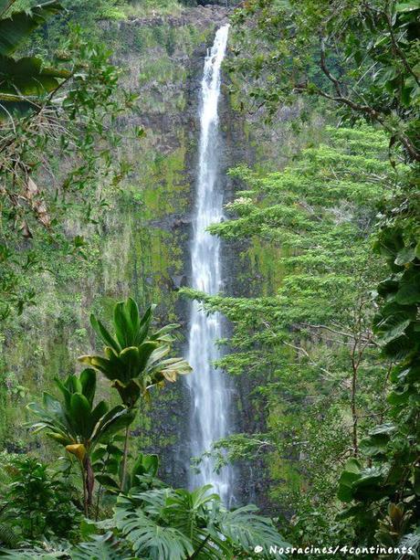 Akaka Falls State Park, Big Island, Hawaii - 2010