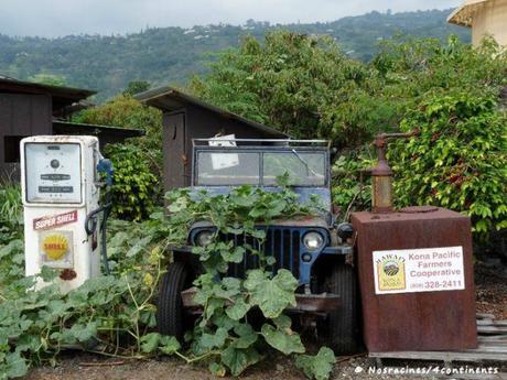 Kona Pacific Farmers Cooperative, Kona, Big Island, Hawaii - 2010