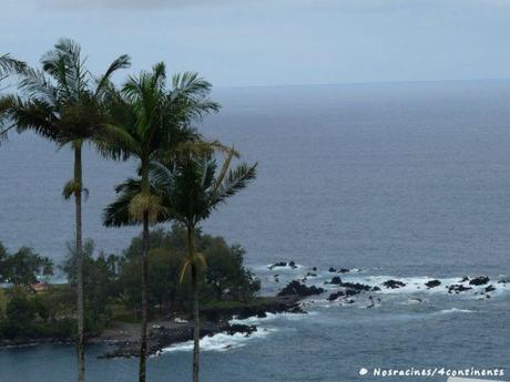 Laupahoehoe Beach Park, Big Island, Hawaii - 2010