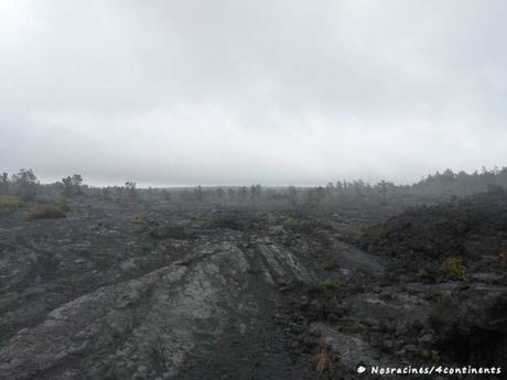 Chain of Craters Road, Parc national des volcans, Big Island, Hawaii - 2010